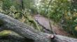 Sturm_Xavier_IMG_20171005_170503.jpg